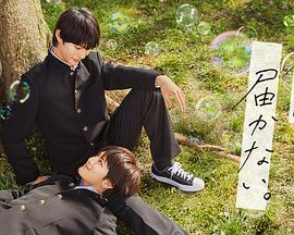 爱情进化论电视剧在线观看免费32