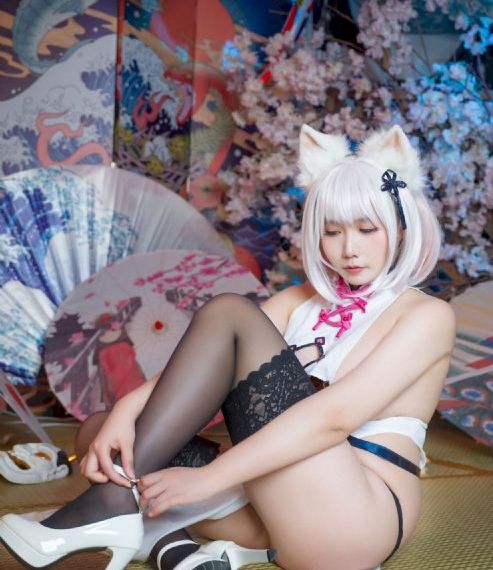 丰满的印度美女aa片