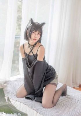 人类与动物人与马的关系